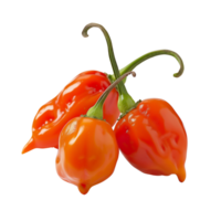 Fresh red habanero peppers in focus, isolated on a transparent background png