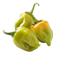 Fresh green habanero peppers in focus, isolated on a transparent background png