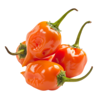 Fresh red habanero peppers in focus, isolated on a transparent background png