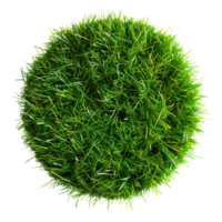 A top view of a floating patch of artificial grass, round and short, isolated on a transparent background png