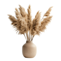 A pampa grass arrangement in a simple ceramic vase, isolated on a transparent background png