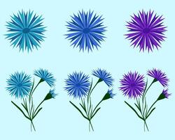 Set of bouquets of blue and purple field cornflowers. Beautiful flower with buds. illustration. Belarusian style. For design, print and postcards. vector