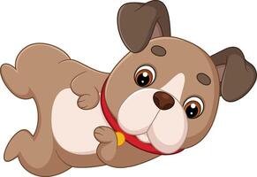 The dog rolls over playfully, showing its belly vector
