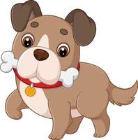 Dog walks with bone in mouth, tail wagging vector