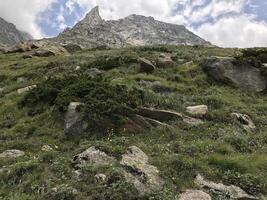 Trekking towards Pin Pass Trek in Himachal Pradesh, India photo