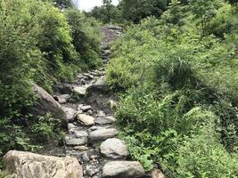 Trekking towards Pin Pass Trek in Himachal Pradesh, India photo