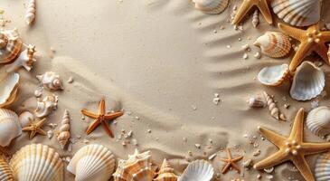 Seashells and Starfish Scattered on Sandy Beach photo