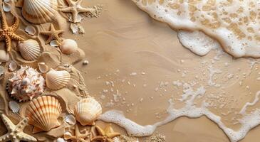 Seashells and Starfish Scattered on Sandy Beach photo