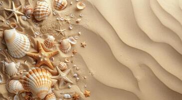 Seashells and Starfish Scattered on Sandy Beach photo