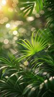 Palm Tree With Water Droplets photo