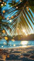 Sun Shining Through Palm Tree Leaves photo