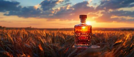 Whiskey Bottle in Field photo