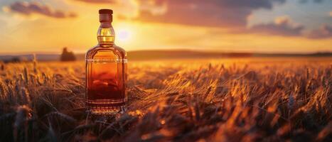 Bottle of Whiskey in Field photo