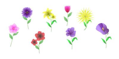 colorful flower in different color collection vector