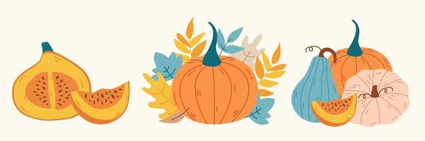 Harvest festival background design set vector