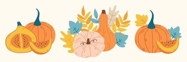 Autumn vegetables pumpkin composition set vector