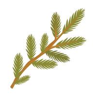 Fir tree branch. A branch of a pine tree. Coniferous trees. illustration design. vector