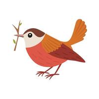 cute bird with branch over white background. colorful design. illustration vector