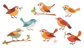 Birds set. Different beautiful birdie with flowers and branch. cartoon illustration in childish style isolated on white. vector