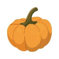 Cute autumn pumpkin. Autumn halloween pumpkin, vegetable graphic icon. Pumpkin Isolated on White. vector