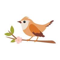 Cute bird on a branch. Spring bird. illustration in cartoon style. vector