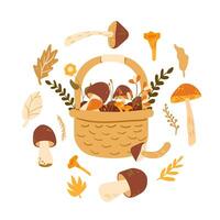 Basket of mushrooms circular emblem isolated on white background. hand drawn illustration vector