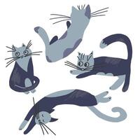 Domestics cats set isolated. kittens kit. vector