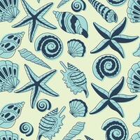 Beach shells seamless pattern. Summer pattern for wrapping paper, wallpaper, notebook cover. vector