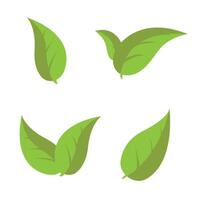 Green leaves collection set isolated on white background. illustration vector