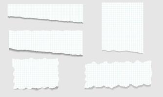 Torn checkered paper set. Sheet for scrapbook illustration. vector