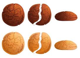 Traditional cookie almond and chocolate set. Whole, part and view in front sweet pastry. vector