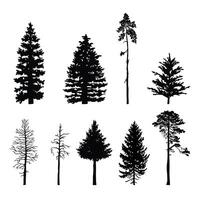 Set of silhouettes of coniferous trees, fir trees, pine trees. illustration vector