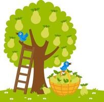 A pear tree, a ladder and a basket with picked pears. Pear fruit produce picking at the farm in the orchard garden. vector