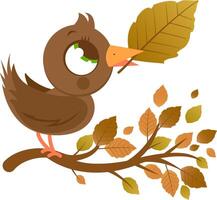 Cute bird in Autumn and tree branch with dry leaves. Fall season tree with brown fallen leaves and bird. vector