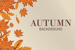 Autumn leaves background. Frame or autumn banner with orange bright leaves. Autumn concept. vector
