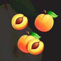 Orange Juicy Bright Fresh Ripe Peach vector