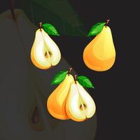 Yellow Juicy Bright Fresh Ripe Pear vector