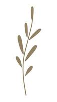 Illustration of a simple twig with leaves vector
