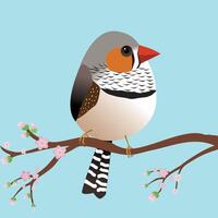 A very cute zebra finch bird in the shape of an egg. Blue background. The bird sits on a branch with pink blossoms. vector