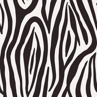 Zebra skin print. Animal skin print in black and white. Abstract black and white stripes. vector