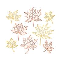 Red and yellow maple leaves with veins outline on white background. Autumn, fall season element set. vector