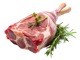 High Quality Realistic Fresh Raw Meat Isolated on Transparent Background png