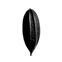 Black and white photo of isolated black seed png