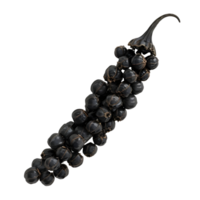 Black pepper on transparent background high res 8K png