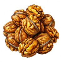 Heap of Walnuts Concept png