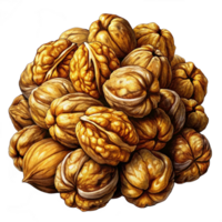 Heap of Walnuts Image png