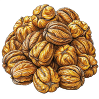 Heap of Walnuts Hand Drawn Drawing png