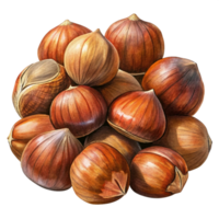 Heap of Hazelnuts Drawing png