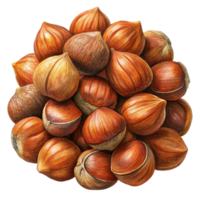 Heap of Hazelnuts Illustration png