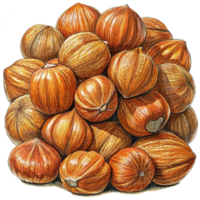 Heap of Hazelnuts Hand Drawn Object png